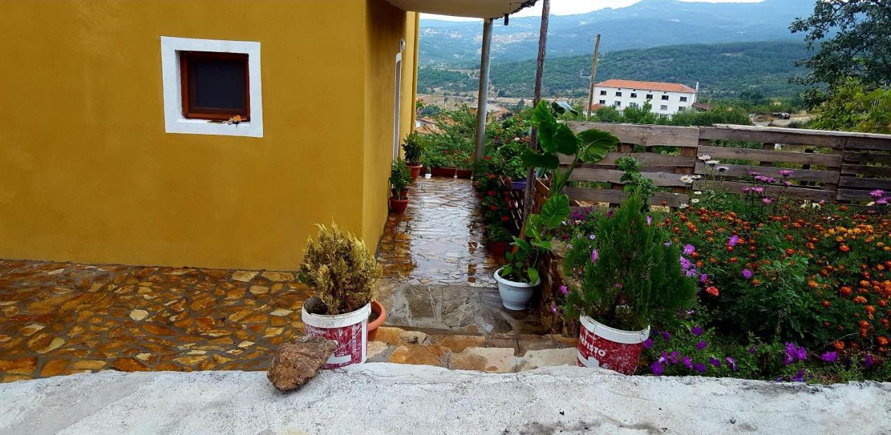 Guest House Agush Kribul Ngoại thất bức ảnh